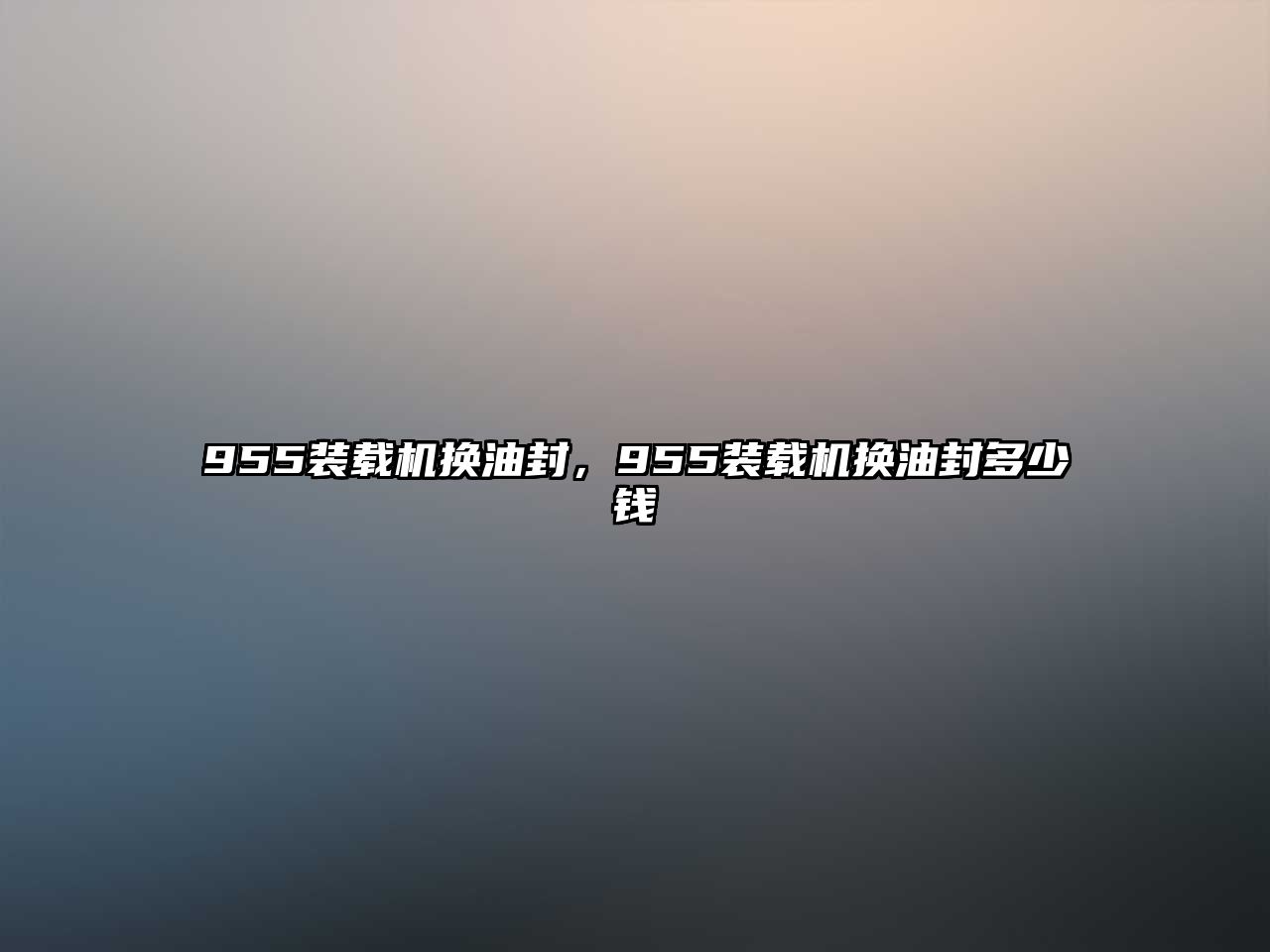 955裝載機(jī)換油封，955裝載機(jī)換油封多少錢(qián)