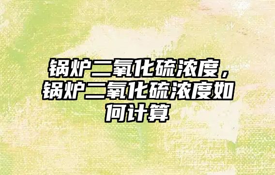 鍋爐二氧化硫濃度，鍋爐二氧化硫濃度如何計算