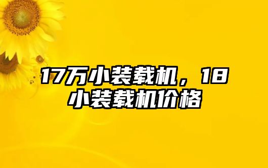 17萬小裝載機(jī)，18小裝載機(jī)價(jià)格