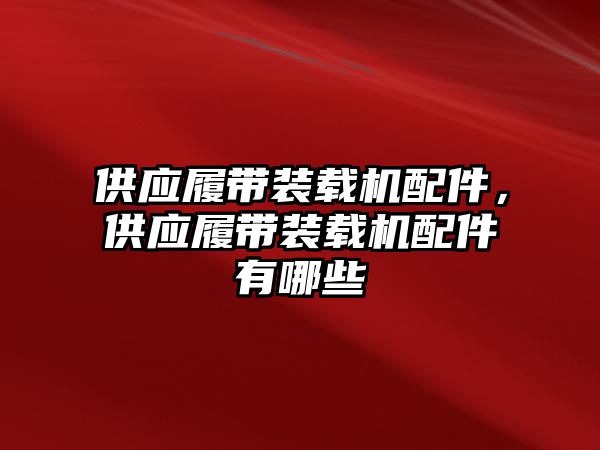 供應(yīng)履帶裝載機(jī)配件，供應(yīng)履帶裝載機(jī)配件有哪些