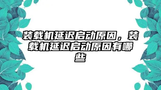 裝載機(jī)延遲啟動(dòng)原因，裝載機(jī)延遲啟動(dòng)原因有哪些