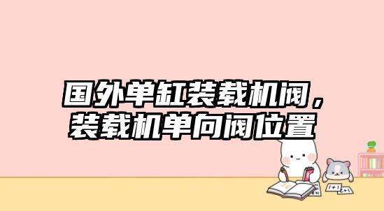 國外單缸裝載機(jī)閥，裝載機(jī)單向閥位置