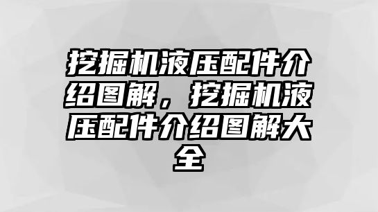 挖掘機(jī)液壓配件介紹圖解，挖掘機(jī)液壓配件介紹圖解大全