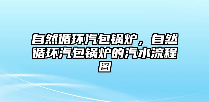 自然循環(huán)汽包鍋爐，自然循環(huán)汽包鍋爐的汽水流程圖