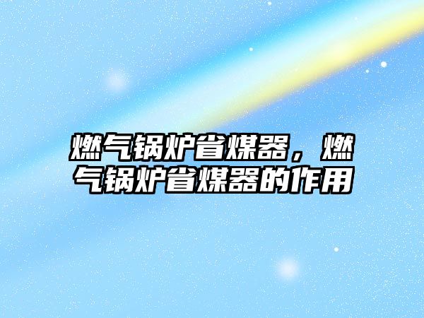 燃?xì)忮仩t省煤器，燃?xì)忮仩t省煤器的作用