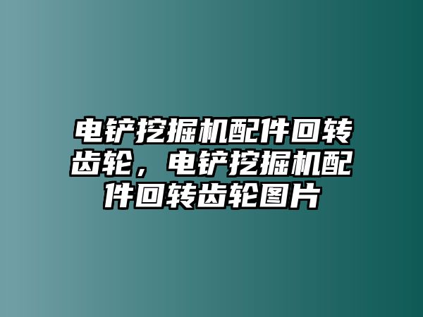 電鏟挖掘機配件回轉(zhuǎn)齒輪，電鏟挖掘機配件回轉(zhuǎn)齒輪圖片