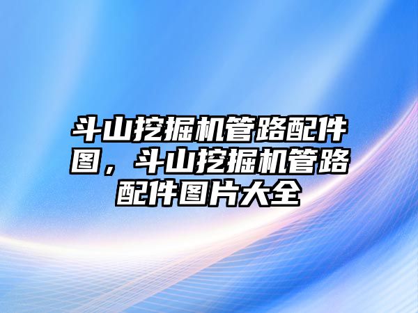 斗山挖掘機(jī)管路配件圖，斗山挖掘機(jī)管路配件圖片大全