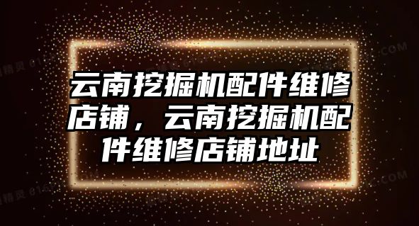 云南挖掘機(jī)配件維修店鋪，云南挖掘機(jī)配件維修店鋪地址