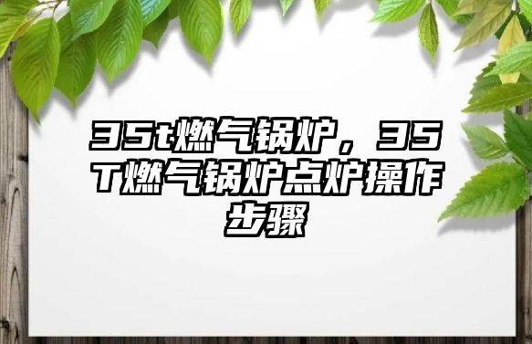 35t燃氣鍋爐，35T燃氣鍋爐點爐操作步驟