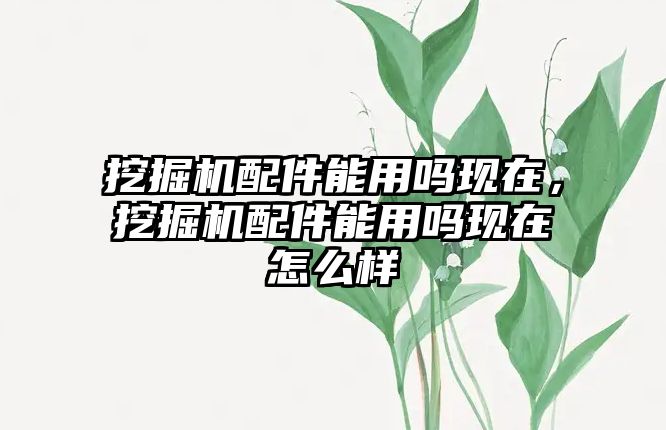 挖掘機配件能用嗎現(xiàn)在，挖掘機配件能用嗎現(xiàn)在怎么樣