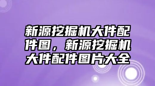 新源挖掘機(jī)大件配件圖，新源挖掘機(jī)大件配件圖片大全