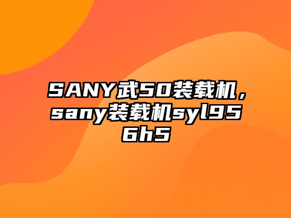 SANY武50裝載機(jī)，sany裝載機(jī)syl956h5