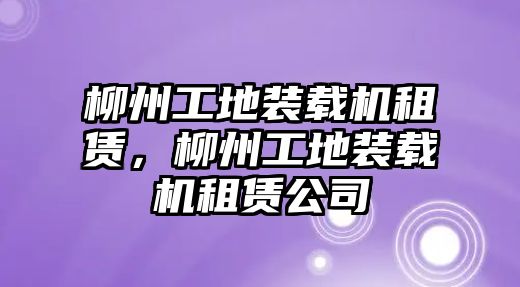 柳州工地裝載機租賃，柳州工地裝載機租賃公司