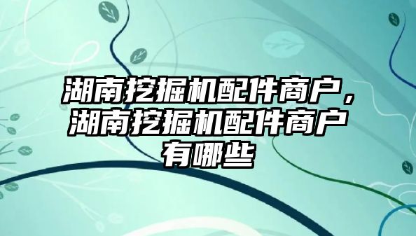 湖南挖掘機配件商戶，湖南挖掘機配件商戶有哪些