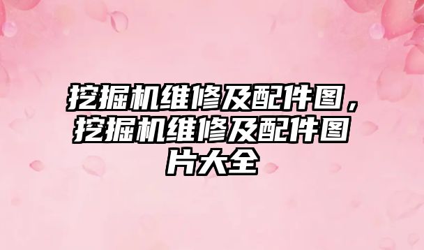 挖掘機維修及配件圖，挖掘機維修及配件圖片大全