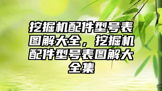 挖掘機配件型號表圖解大全，挖掘機配件型號表圖解大全集