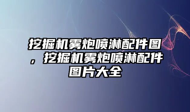 挖掘機霧炮噴淋配件圖，挖掘機霧炮噴淋配件圖片大全