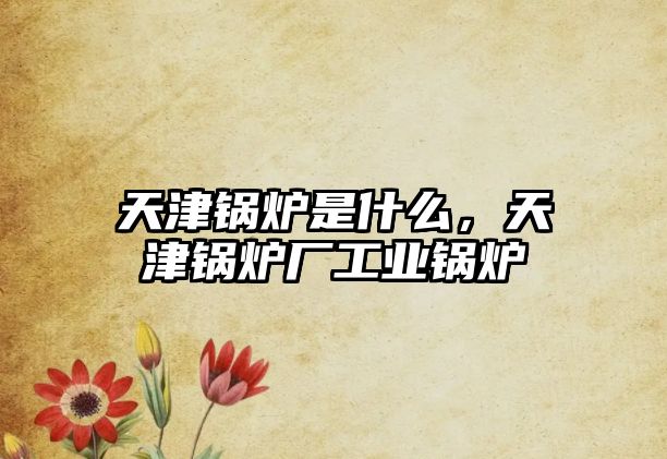 天津鍋爐是什么，天津鍋爐廠工業(yè)鍋爐