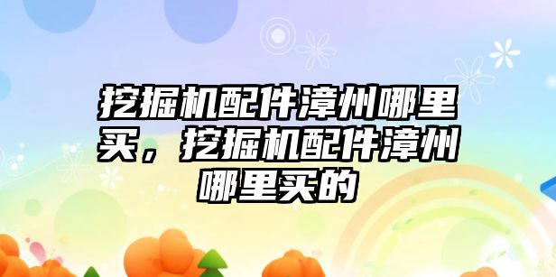 挖掘機配件漳州哪里買，挖掘機配件漳州哪里買的