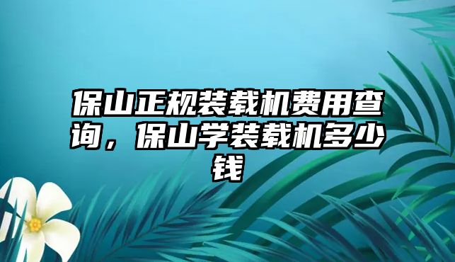 保山正規(guī)裝載機費用查詢，保山學(xué)裝載機多少錢