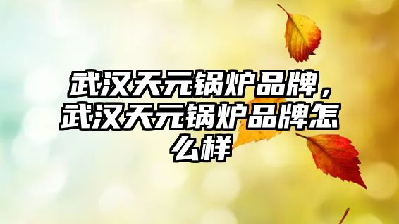 武漢天元鍋爐品牌，武漢天元鍋爐品牌怎么樣