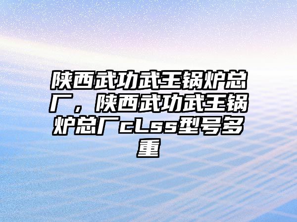 陜西武功武王鍋爐總廠，陜西武功武王鍋爐總廠cLss型號多重