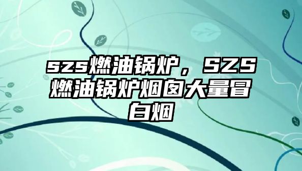 szs燃油鍋爐，SZS燃油鍋爐煙囪大量冒白煙