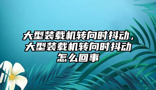 大型裝載機轉(zhuǎn)向時抖動，大型裝載機轉(zhuǎn)向時抖動怎么回事