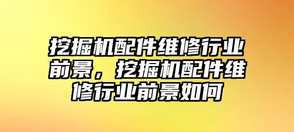 挖掘機配件維修行業(yè)前景，挖掘機配件維修行業(yè)前景如何