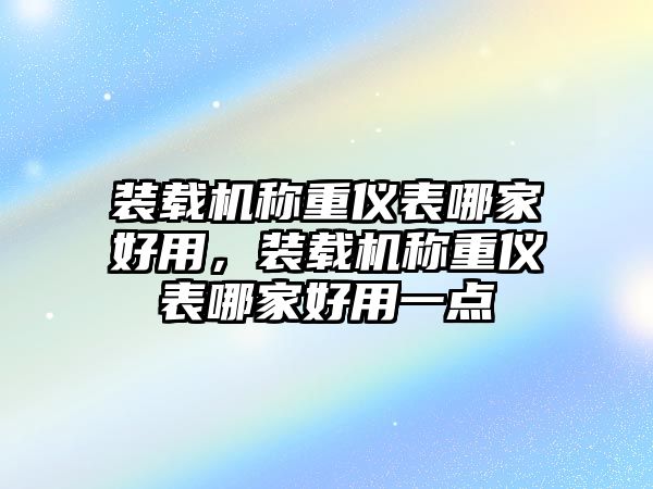 裝載機稱重儀表哪家好用，裝載機稱重儀表哪家好用一點