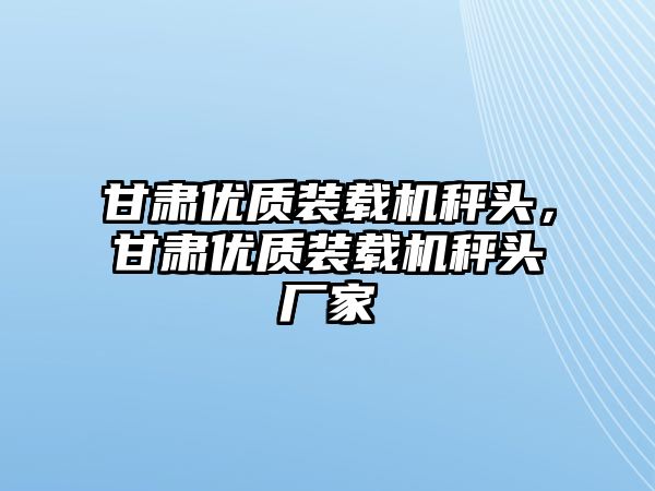 甘肅優(yōu)質(zhì)裝載機秤頭，甘肅優(yōu)質(zhì)裝載機秤頭廠家