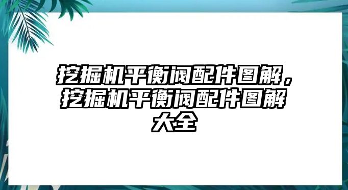 挖掘機(jī)平衡閥配件圖解，挖掘機(jī)平衡閥配件圖解大全