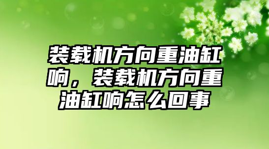 裝載機方向重油缸響，裝載機方向重油缸響怎么回事