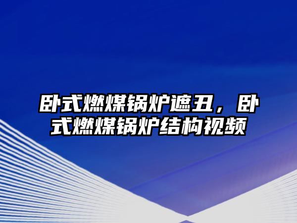 臥式燃煤鍋爐遮丑，臥式燃煤鍋爐結(jié)構(gòu)視頻