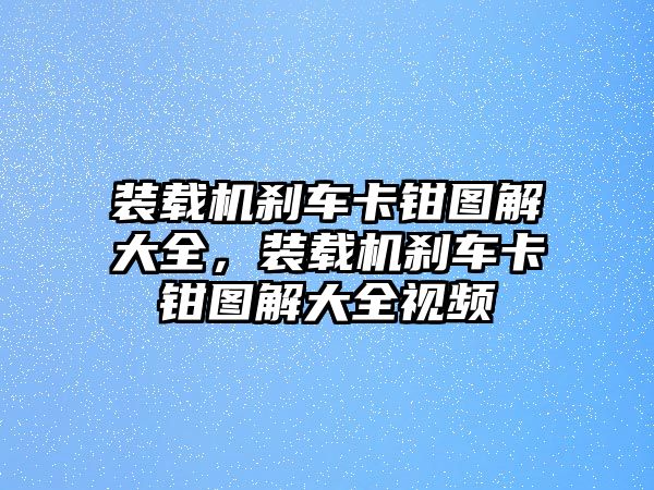 裝載機(jī)剎車卡鉗圖解大全，裝載機(jī)剎車卡鉗圖解大全視頻