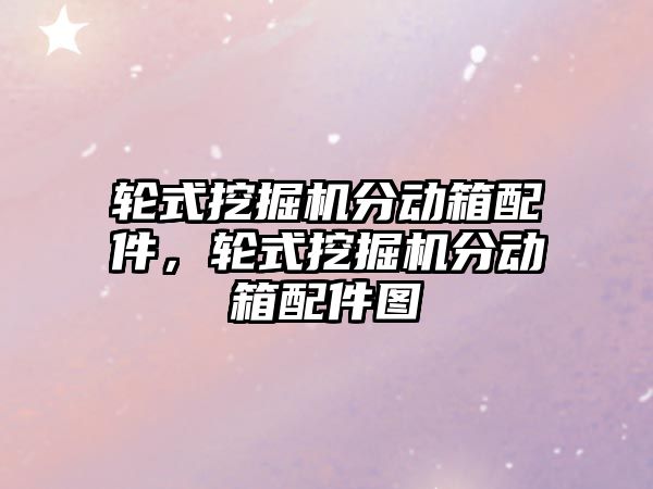 輪式挖掘機分動箱配件，輪式挖掘機分動箱配件圖