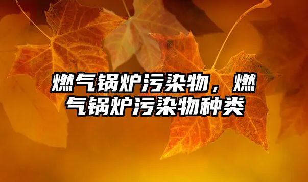 燃?xì)忮仩t污染物，燃?xì)忮仩t污染物種類