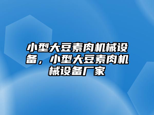 小型大豆素肉機(jī)械設(shè)備，小型大豆素肉機(jī)械設(shè)備廠家