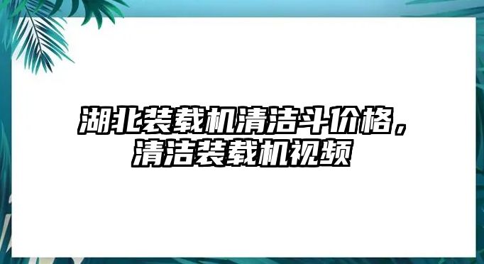 湖北裝載機清潔斗價格，清潔裝載機視頻