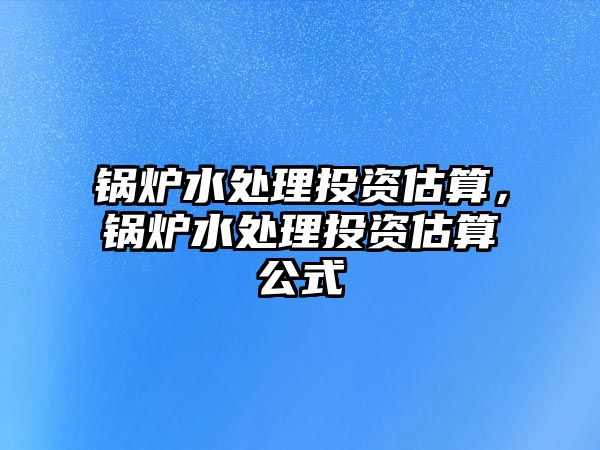 鍋爐水處理投資估算，鍋爐水處理投資估算公式