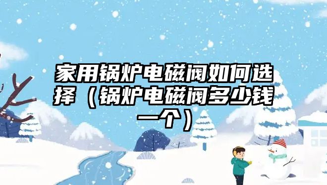 家用鍋爐電磁閥如何選擇（鍋爐電磁閥多少錢一個(gè)）