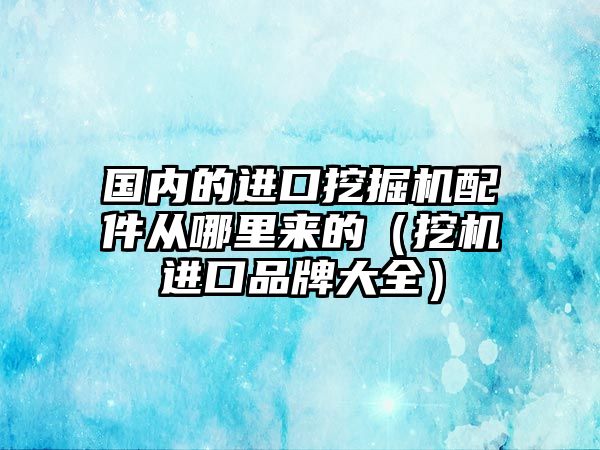 國內(nèi)的進(jìn)口挖掘機配件從哪里來的（挖機進(jìn)口品牌大全）