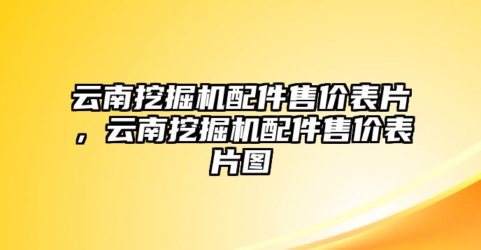 云南挖掘機(jī)配件售價(jià)表片，云南挖掘機(jī)配件售價(jià)表片圖