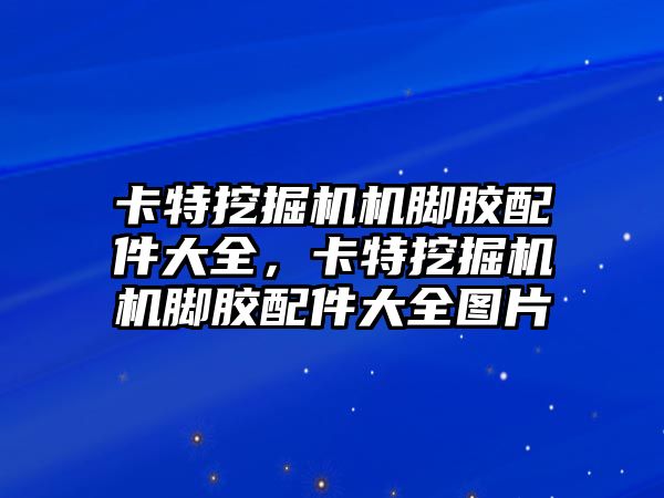 卡特挖掘機機腳膠配件大全，卡特挖掘機機腳膠配件大全圖片