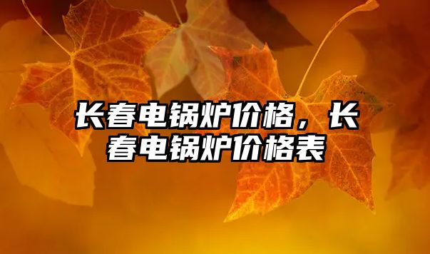 長春電鍋爐價格，長春電鍋爐價格表