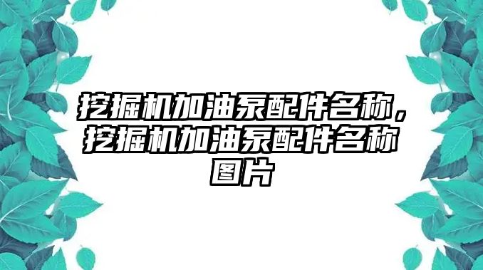 挖掘機(jī)加油泵配件名稱，挖掘機(jī)加油泵配件名稱圖片