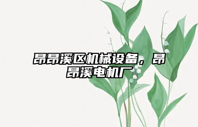 昂昂溪區(qū)機械設(shè)備，昂昂溪電機廠