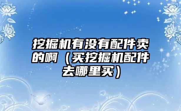 挖掘機(jī)有沒(méi)有配件賣的?。ㄙI挖掘機(jī)配件去哪里買）