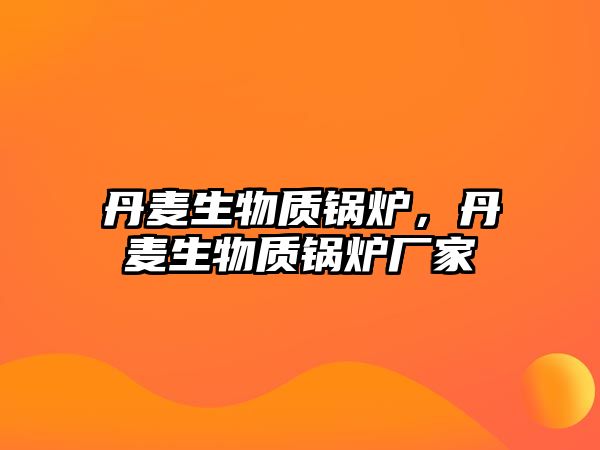 丹麥生物質鍋爐，丹麥生物質鍋爐廠家