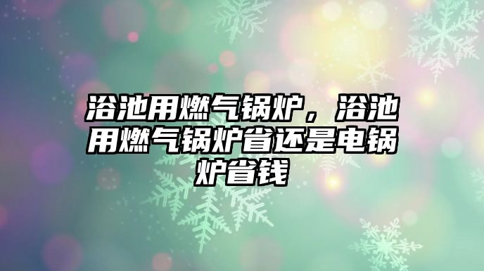 浴池用燃?xì)忮仩t，浴池用燃?xì)忮仩t省還是電鍋爐省錢(qián)